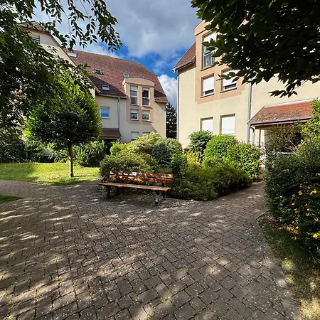 Appartement A Le Repere D'anna Châtenois